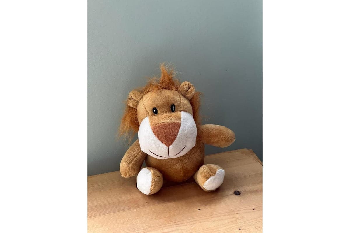 Small Stuffed Animal