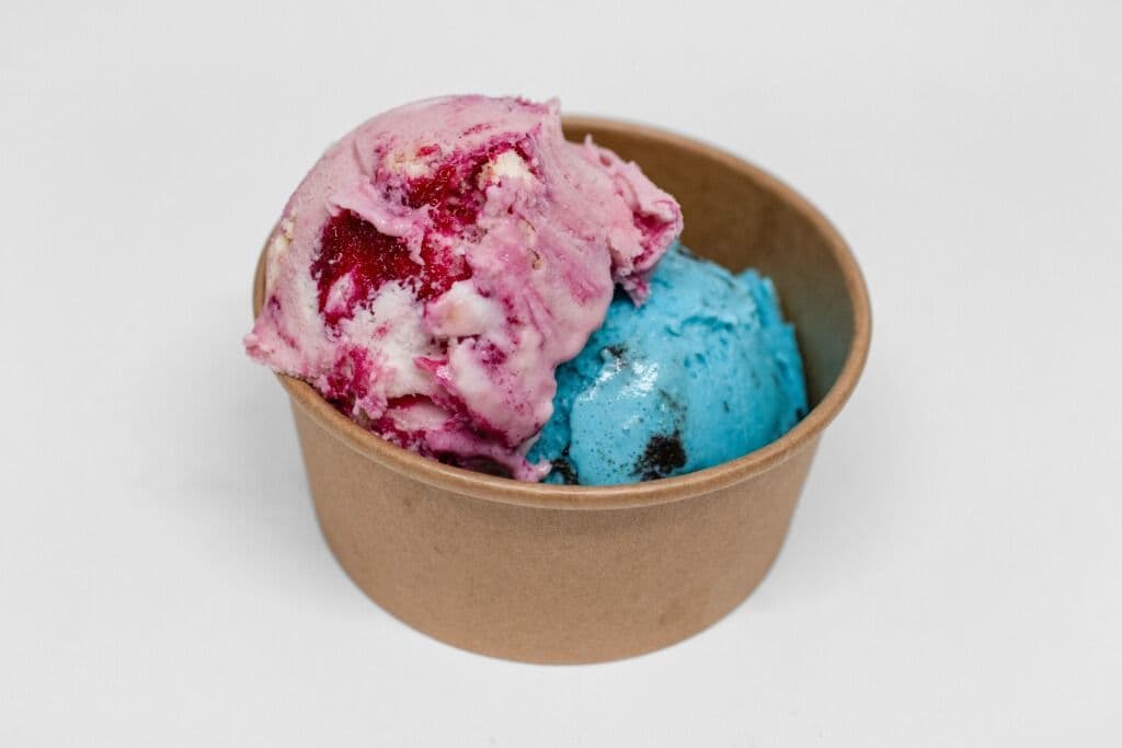 Double Scoop Ice Cream