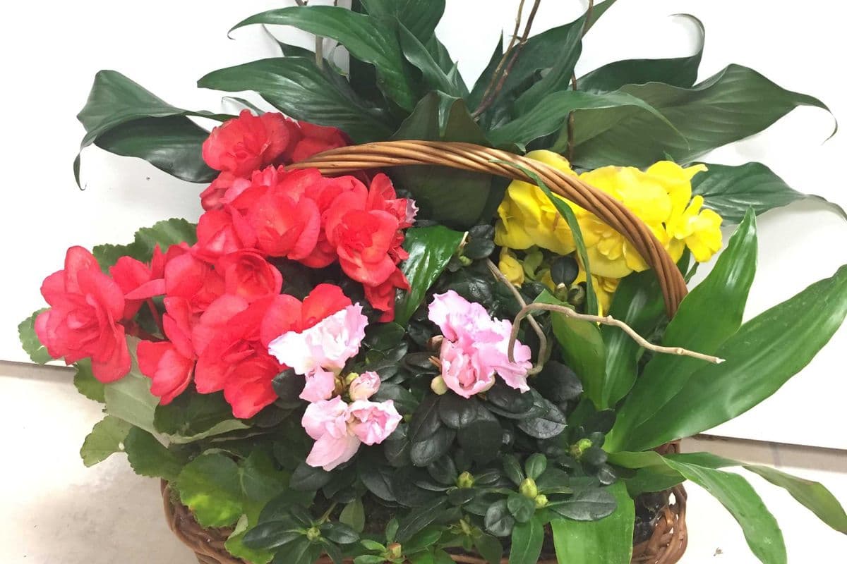 Secret Garden Basket