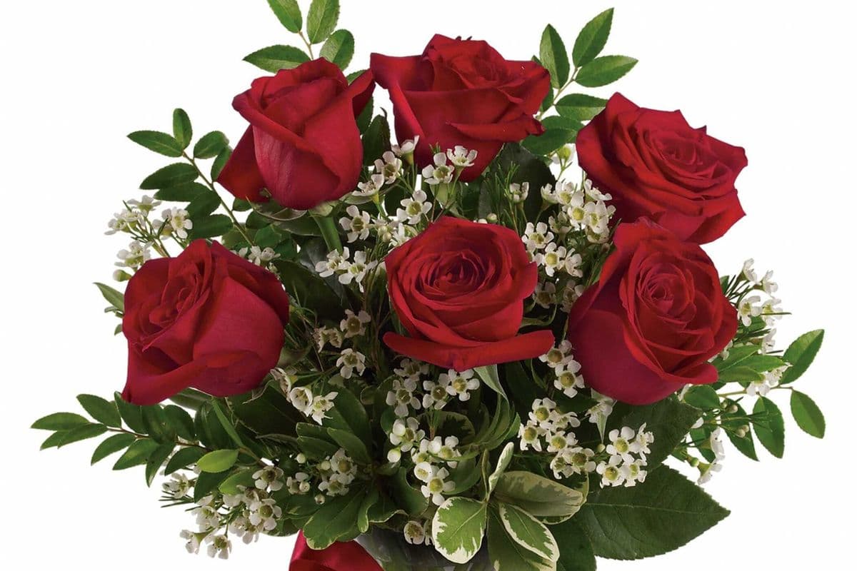 Six Roses Arranged In A Vase