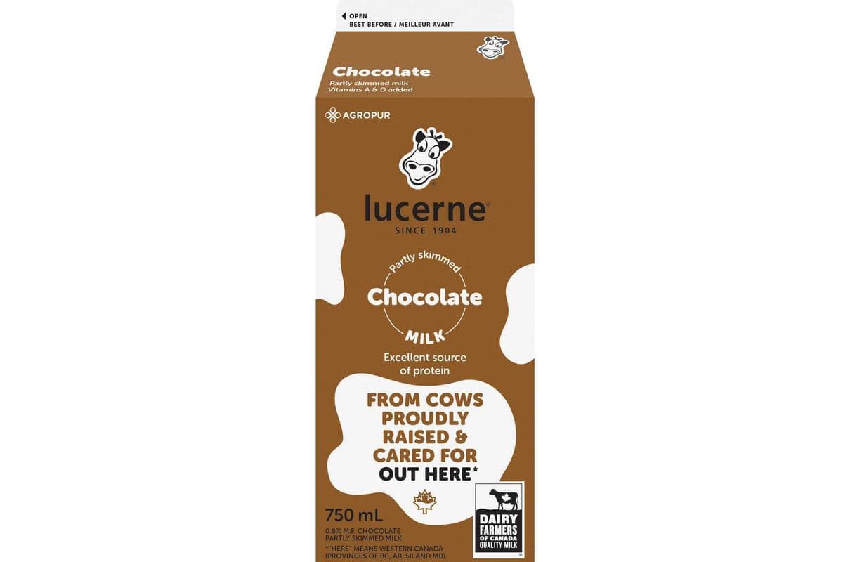Lucenre Choco Milk (750ml)