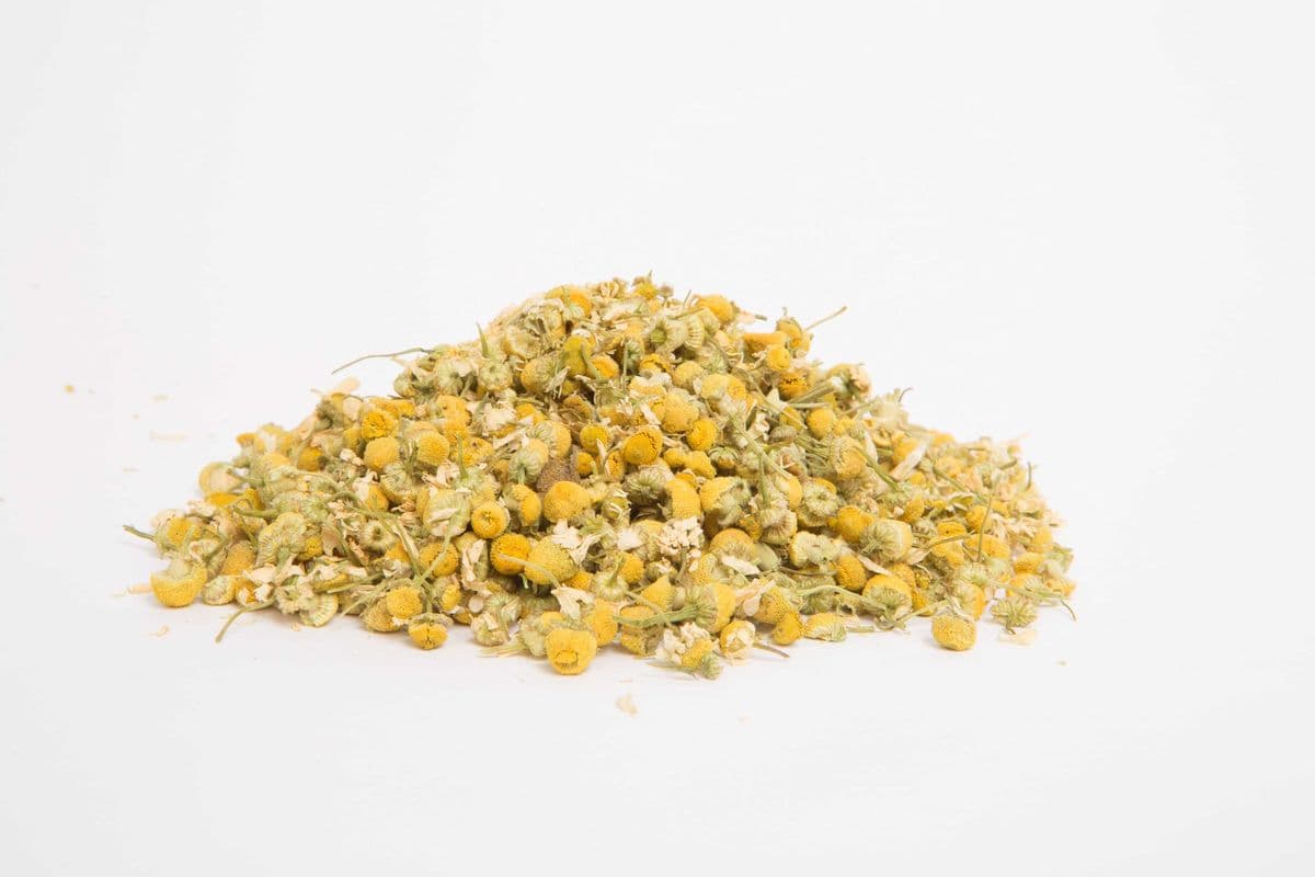 Fleurs de Camomille / Chamomile Flowers