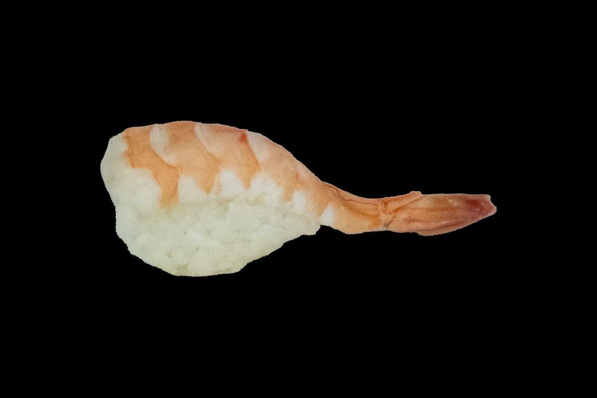 Ebi
