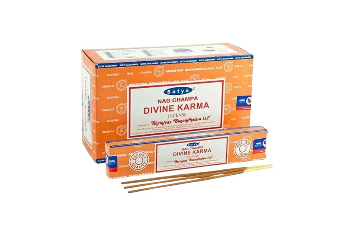 Satya Divine Karma (15g)