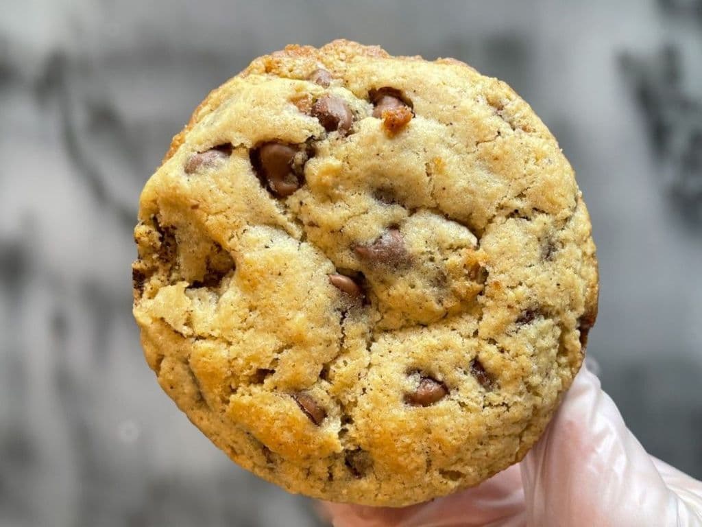 Chocolate Chip