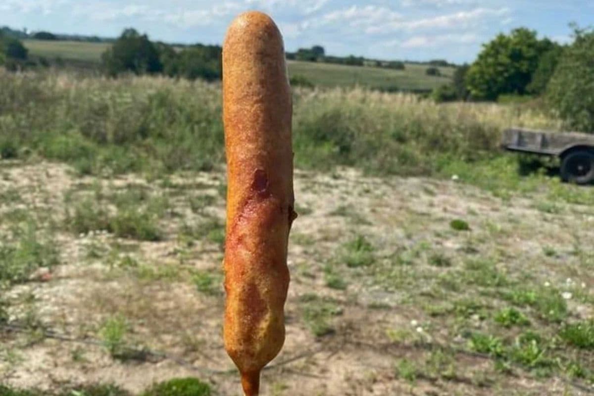 Corn Dog