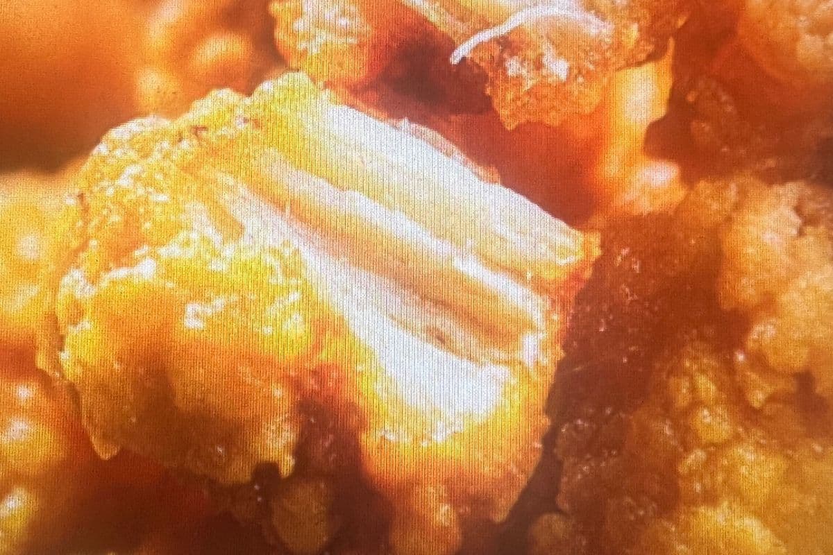 Chicken Karrage (炸鸡块)