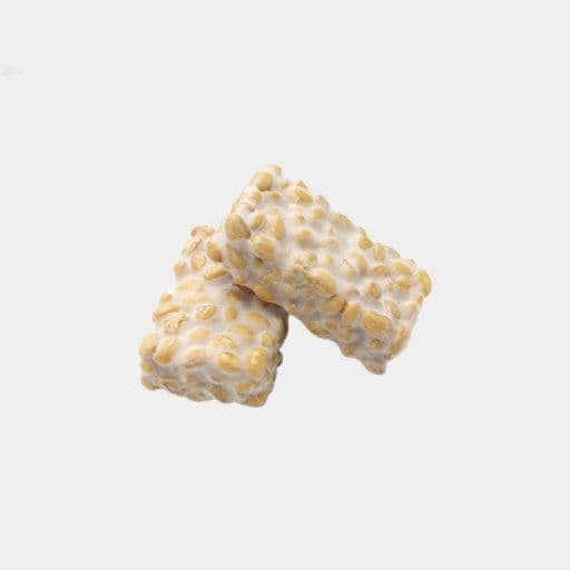 Tempeh biologique / Tempeh