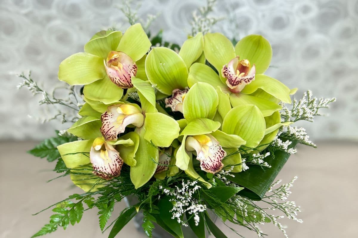 Modern Design of Green Cymbidium Orchid in Square Vase