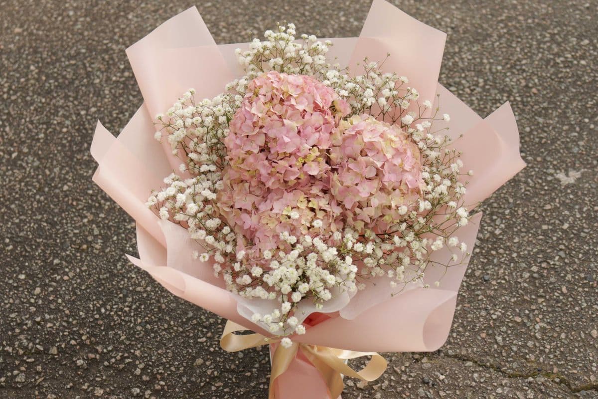 M6. Pink Hydrangea Bouquet + Baby's Breath