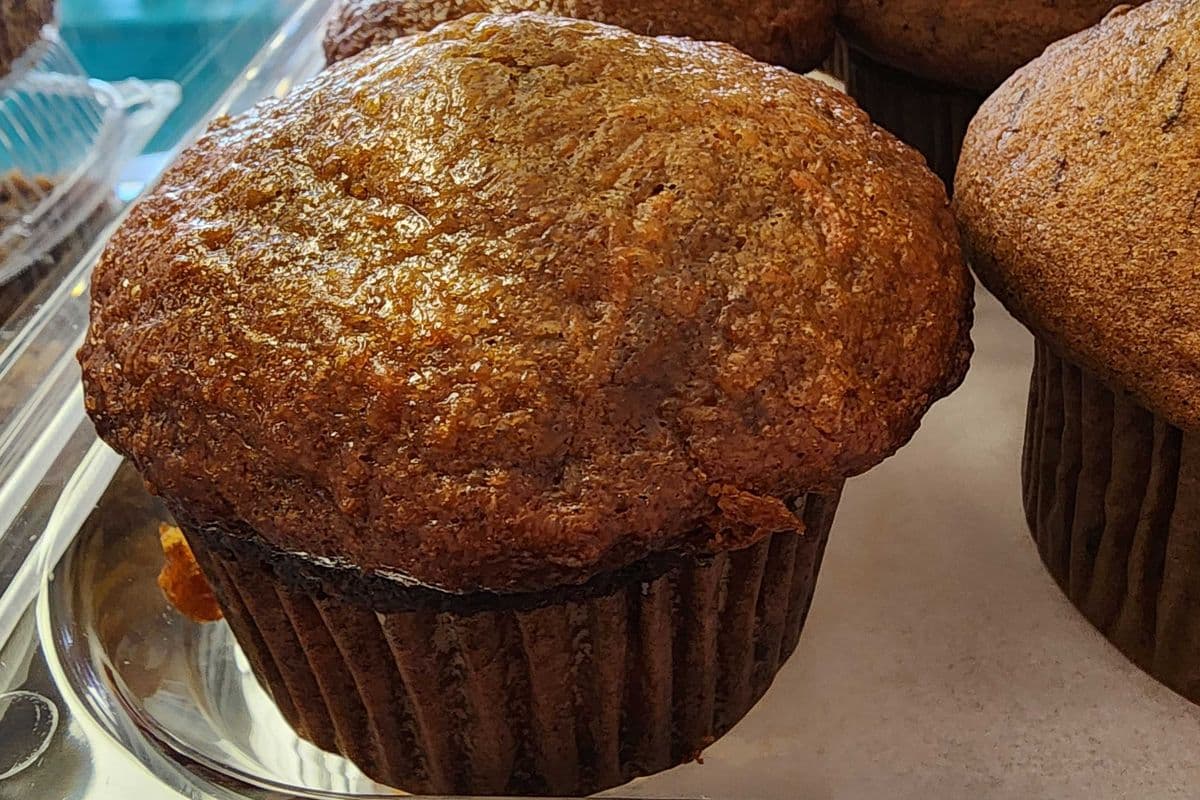 Jumbo carrot muffin