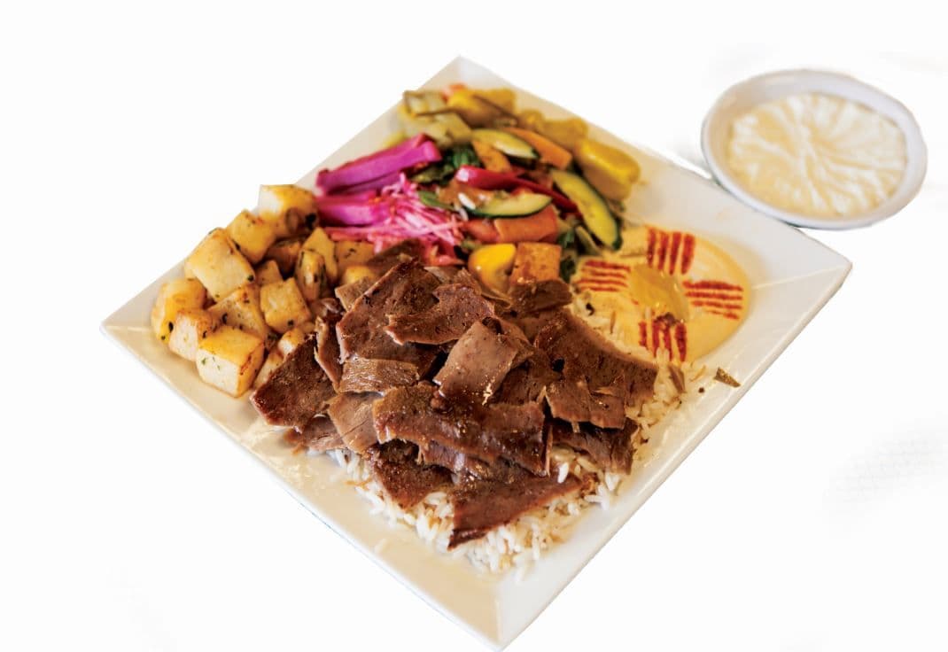 Special Two Donair Plate