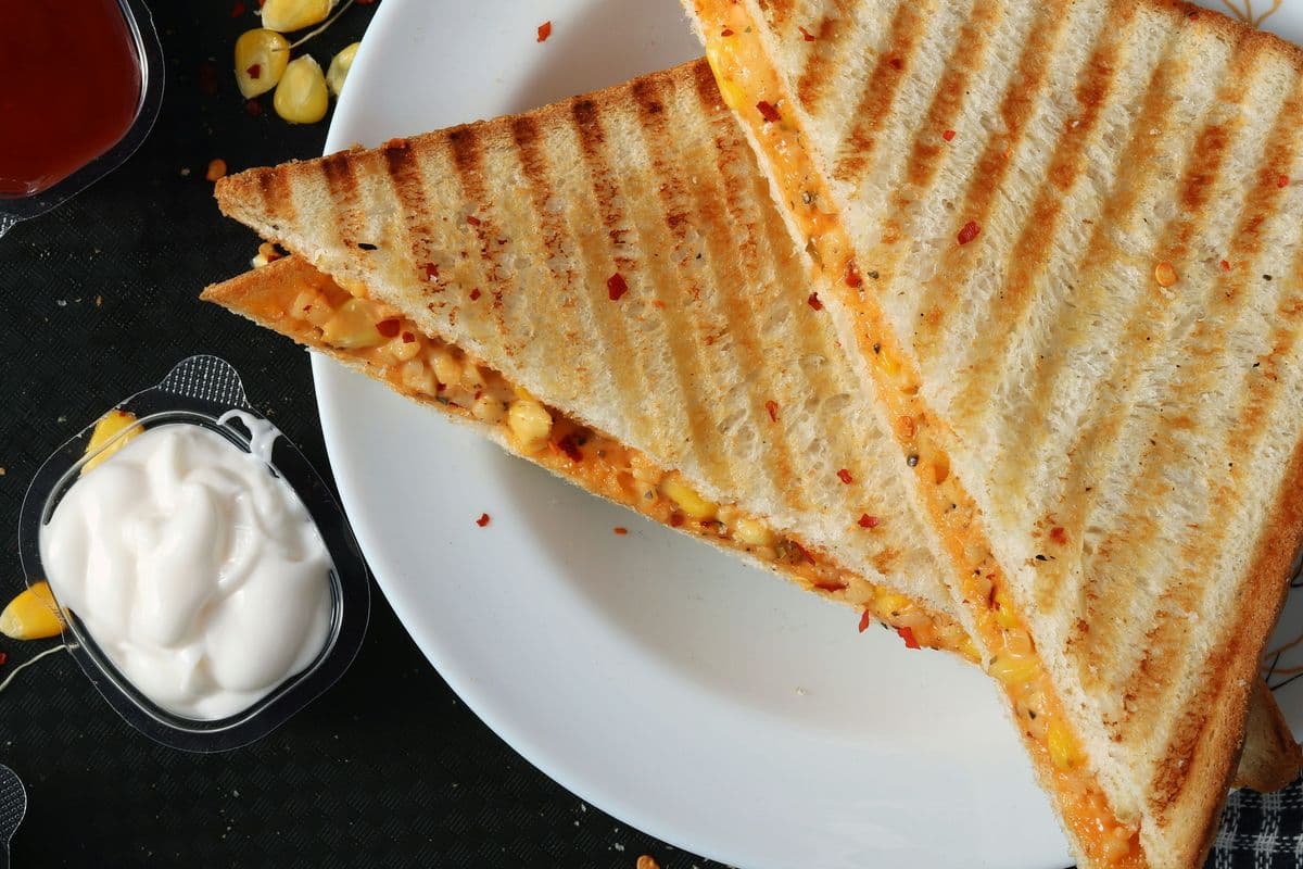 Two Pieces Grilled Veg Sandwich