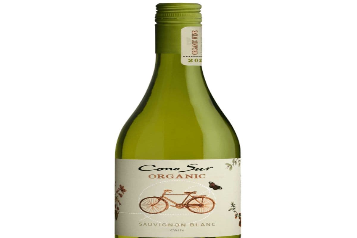 Cono Sur Organic Sauvignon Blanc White (1 x 750 ml)