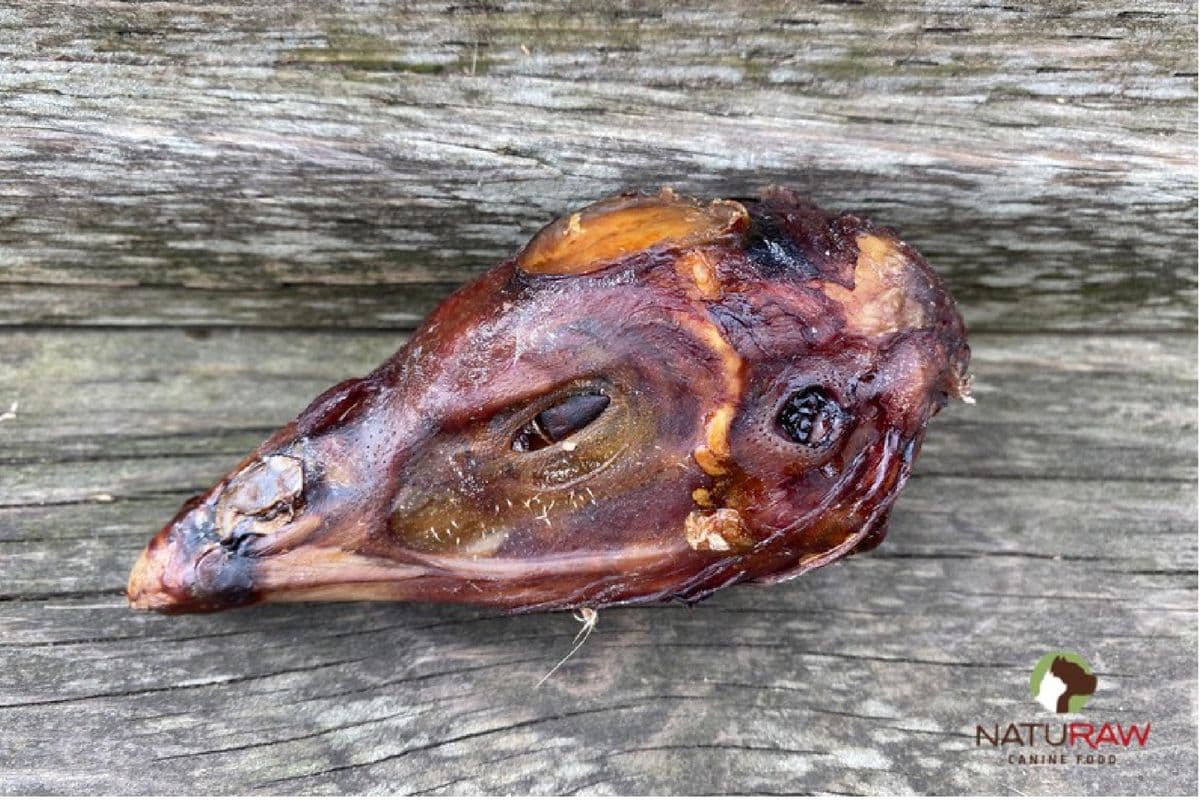 Dehydrated Turkey Head (1 piece)