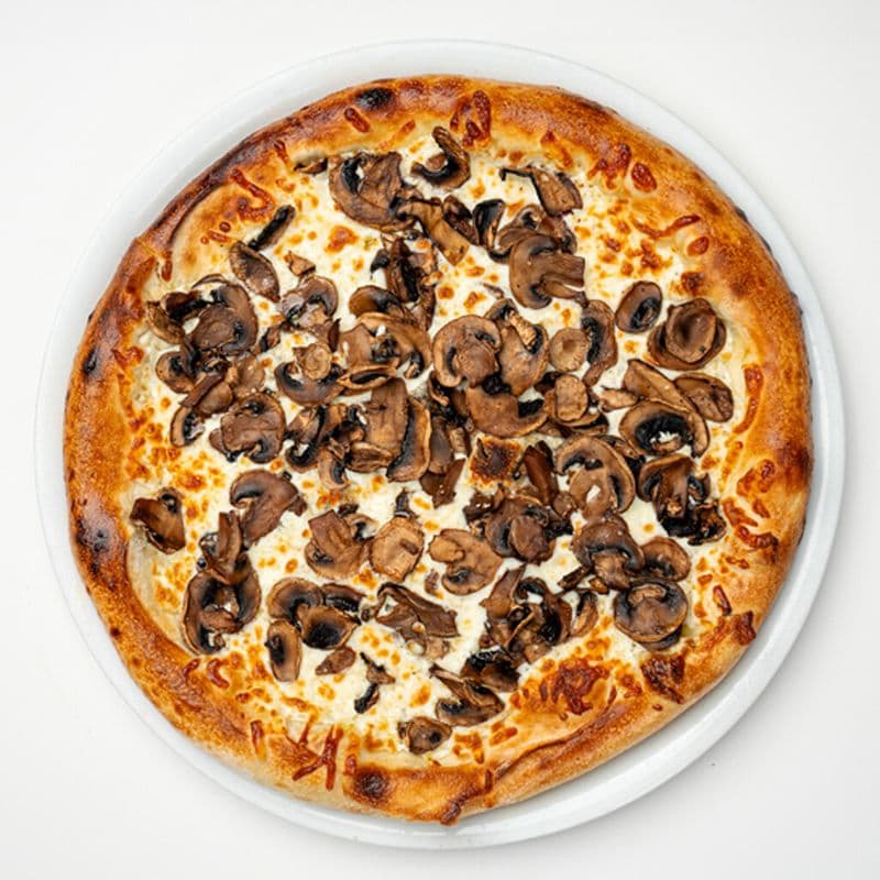 Funghi