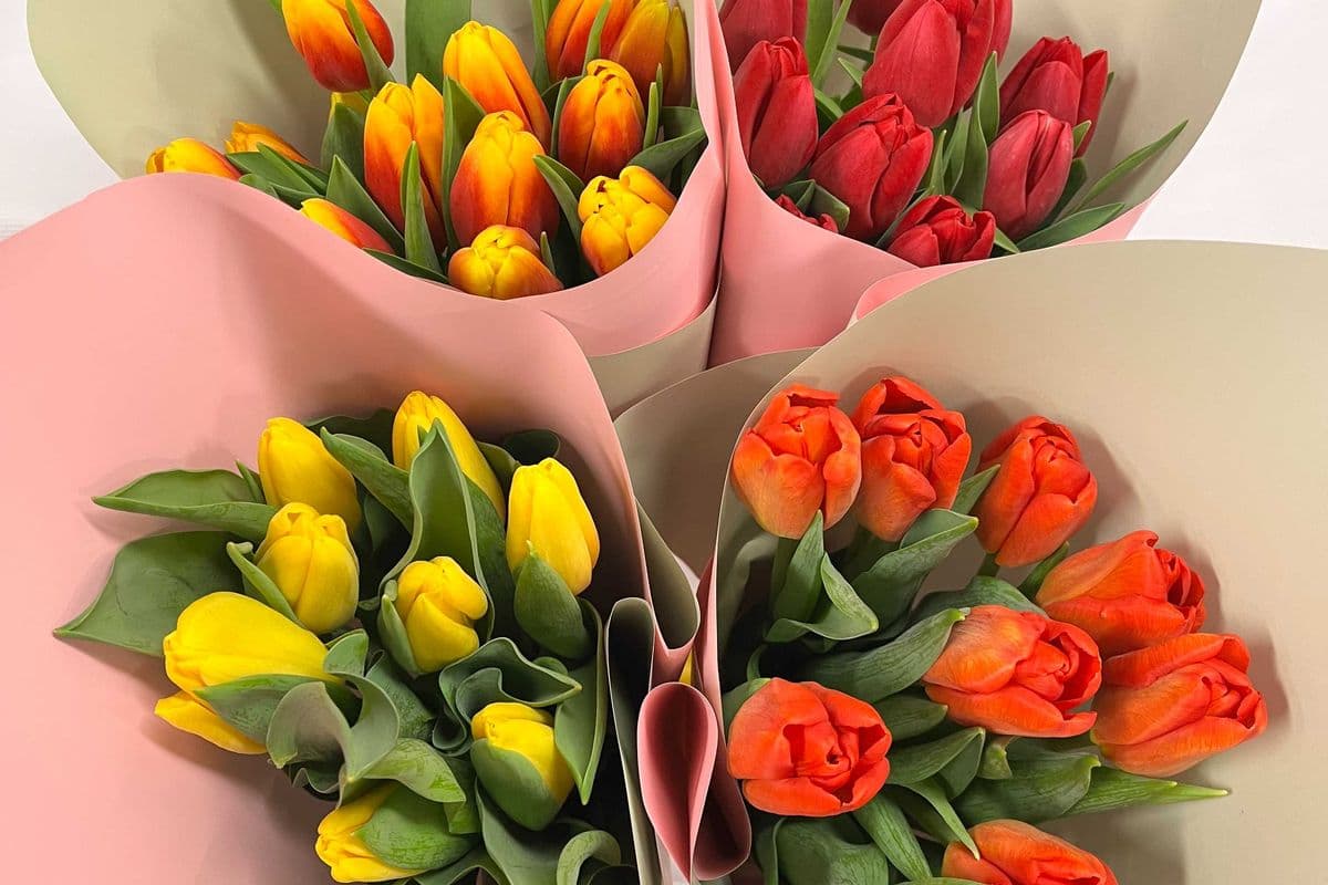 Tulip boquet