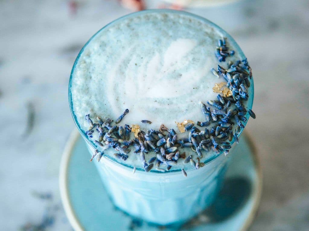 Blue Lavender Fog