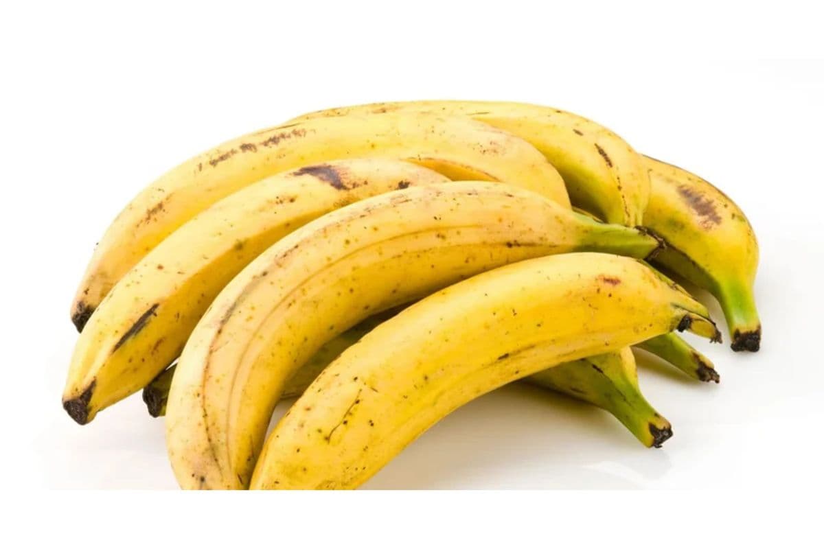 Plantain (Regular)