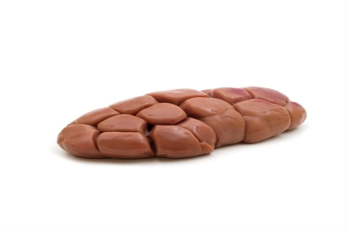 Beef Kidney (1 lb)