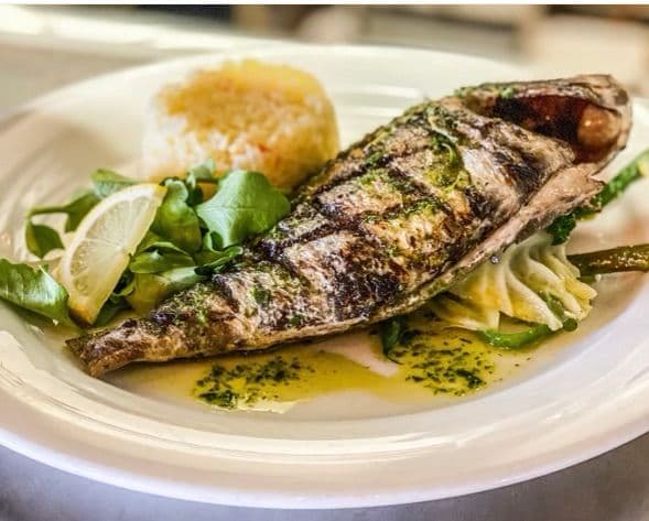 Fresh Seabream