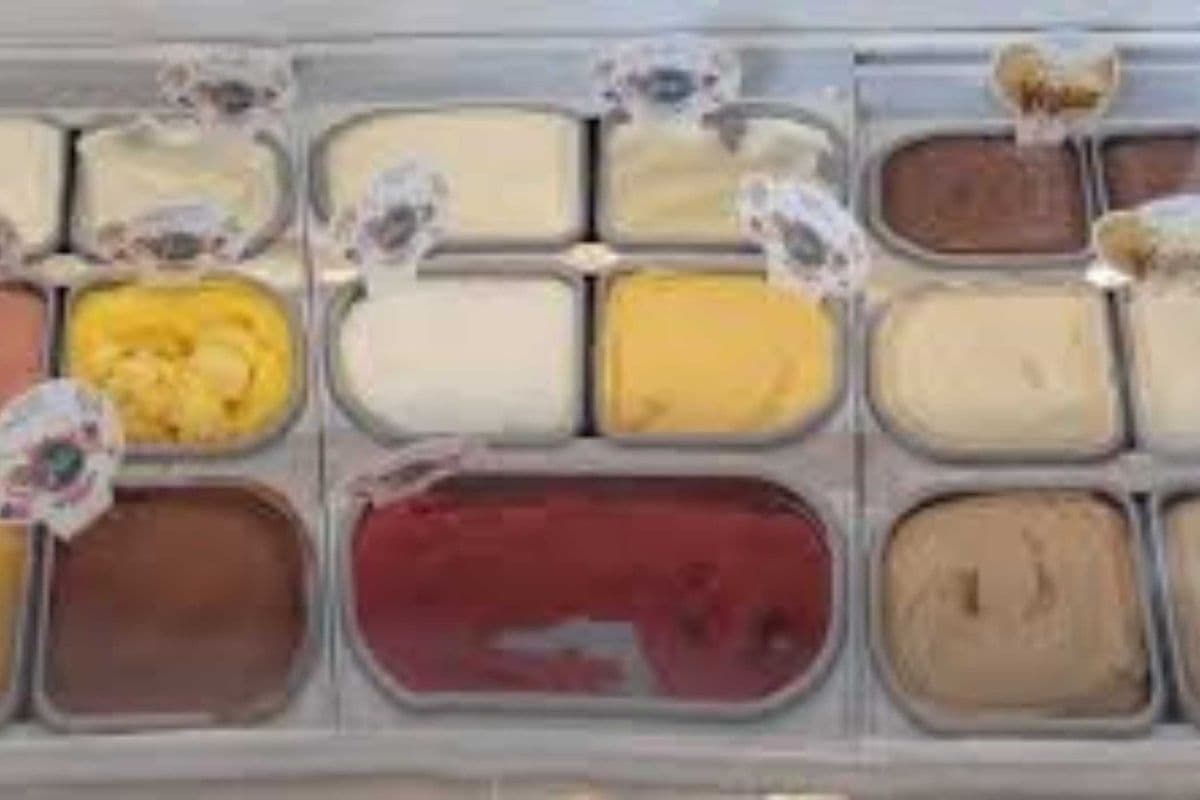 Crème Glacé Végan (BIO)