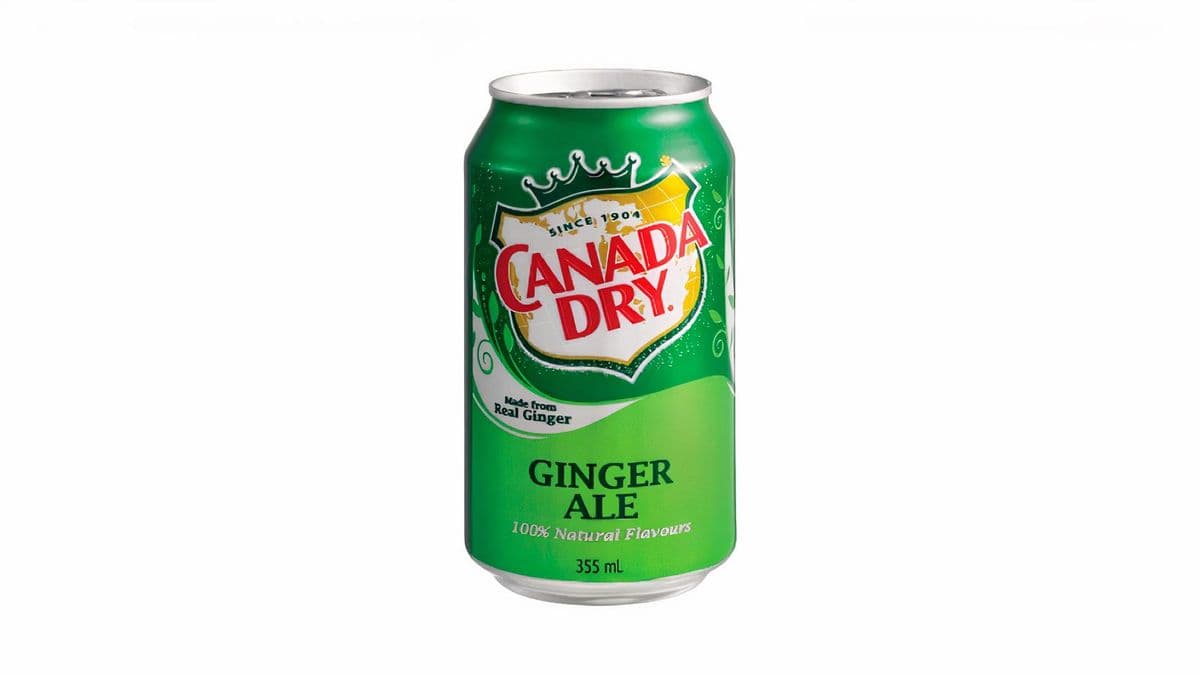 Soda Gingembre