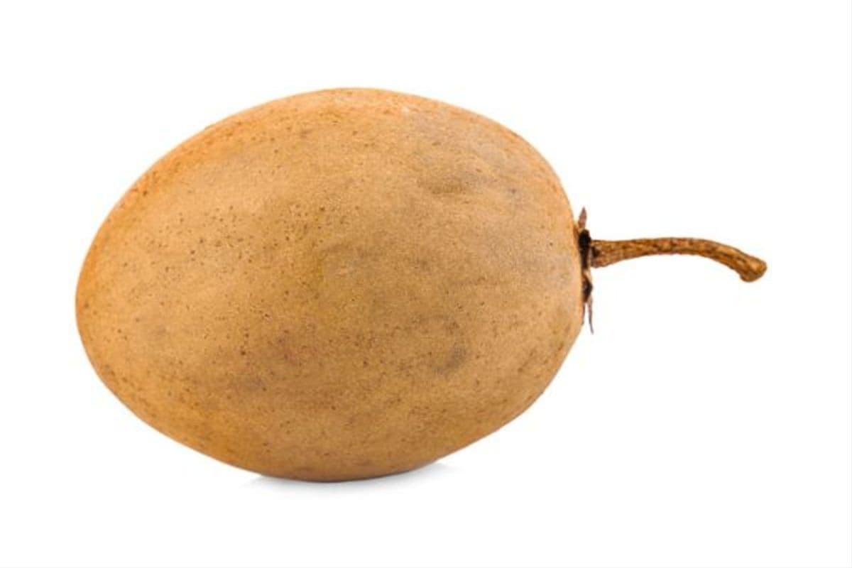 Chicoo (Sapodilla) Mexico (1 lb)