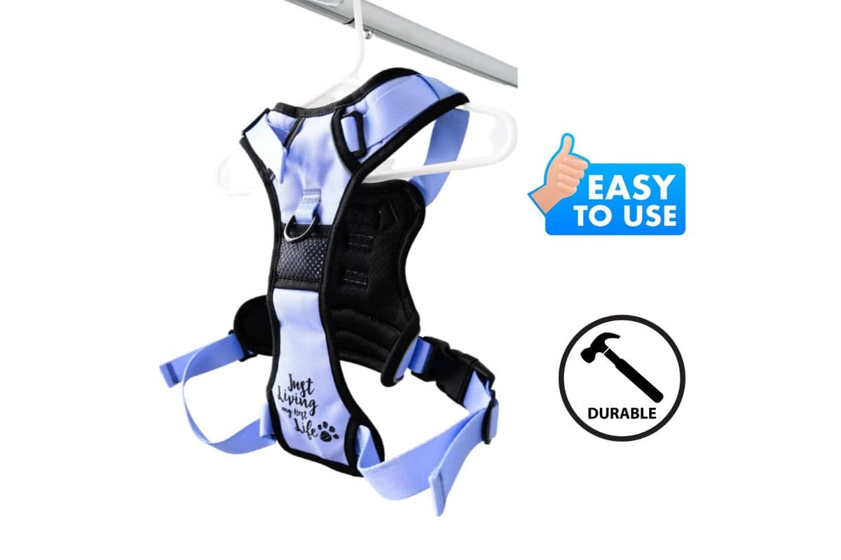 Dexypaws - No-Pull Dog Harness Lilac - L