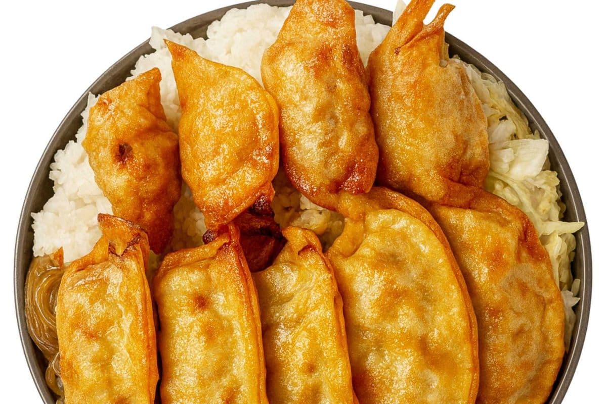 Rice Bowl-Pork Gyoza