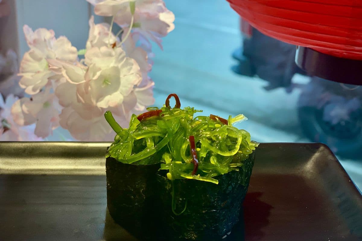 Seaweed Warship (2pcs)