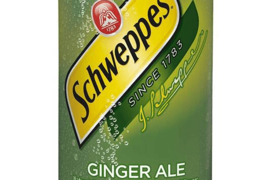 Ginger Ale (222 ml)