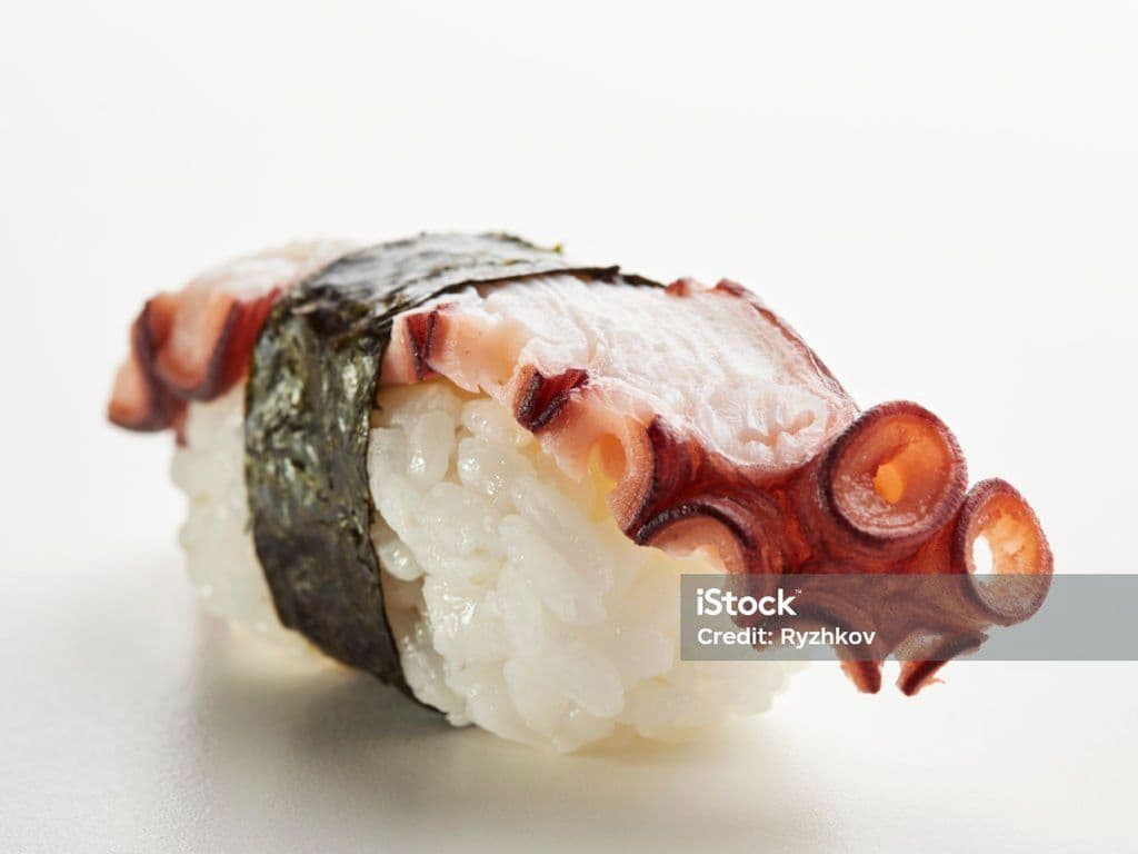 TAKO NIGIRI. 2mcx/ 2pcs