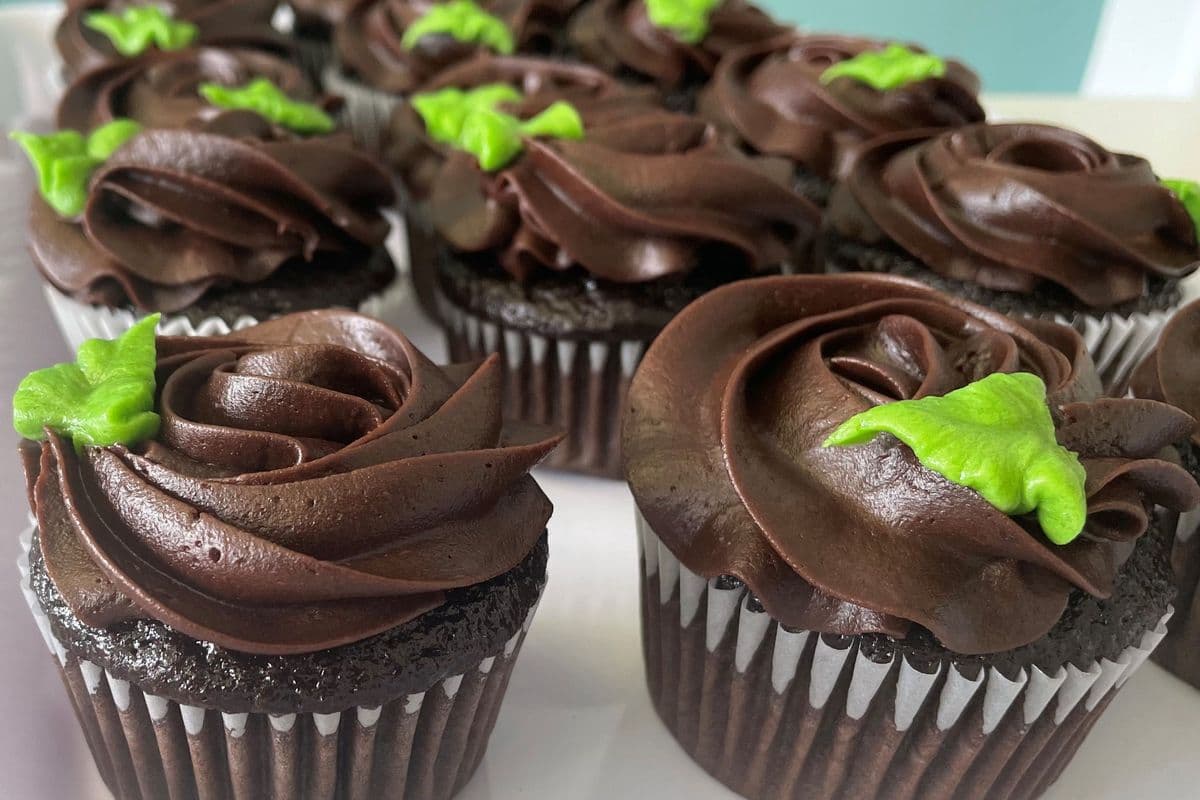 Chocolate Cupcake
