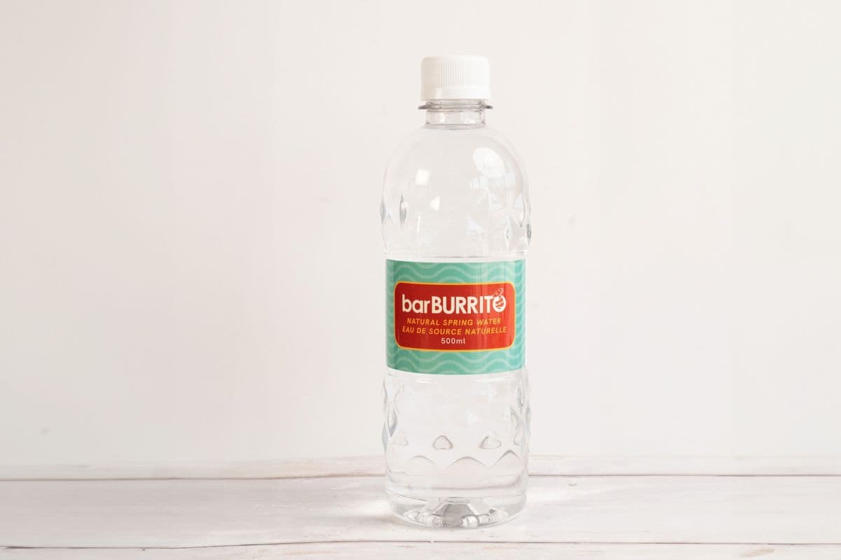 Bottled Water (500 mL)