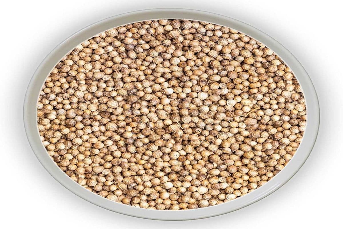 GURUJI CORIANDER SEEDS 100gm