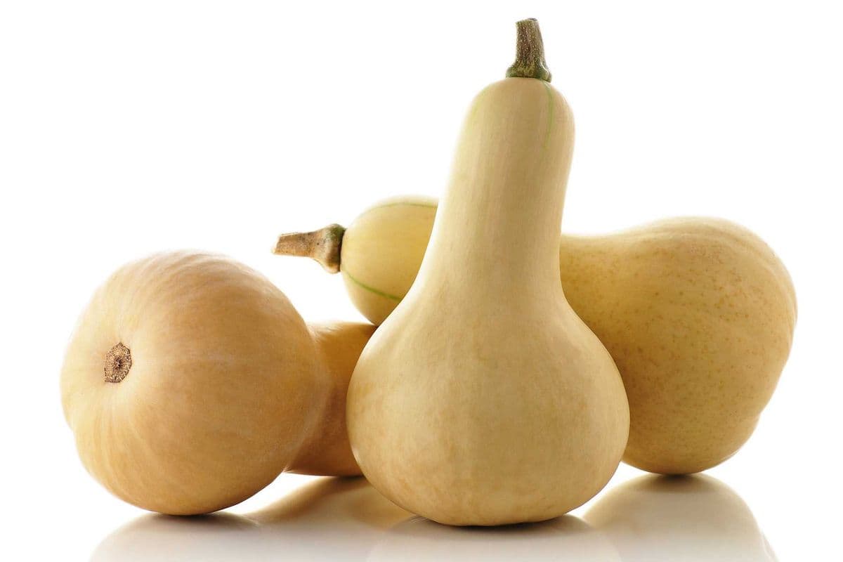 Squash Butternut (per lb)