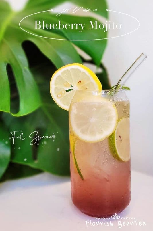 Blueberry Mojito