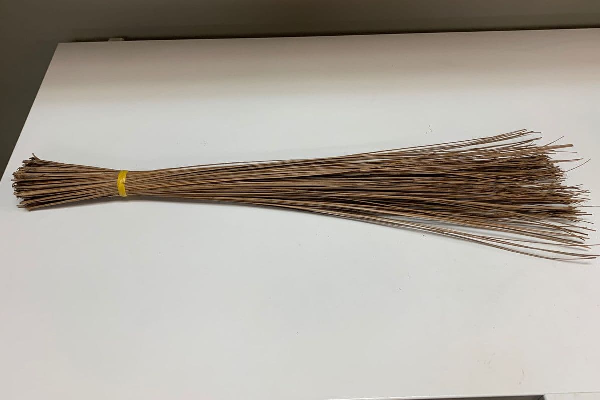 Walis tingting