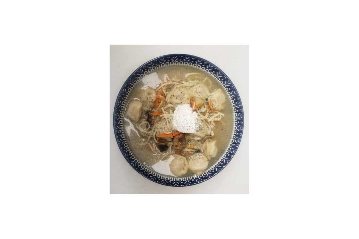 Chicken or Pork Dumpling Noodles soup