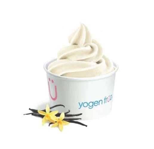 Vanilla Frozen Yogurt