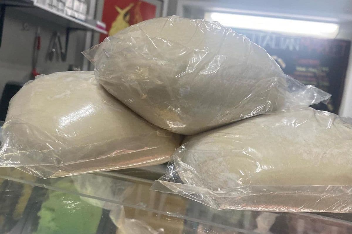 Frozen Pizza Dough