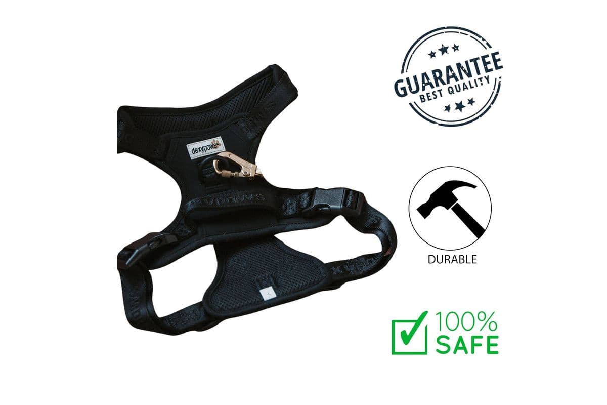 Dexypaws NoPull Dog Harness Black Large
