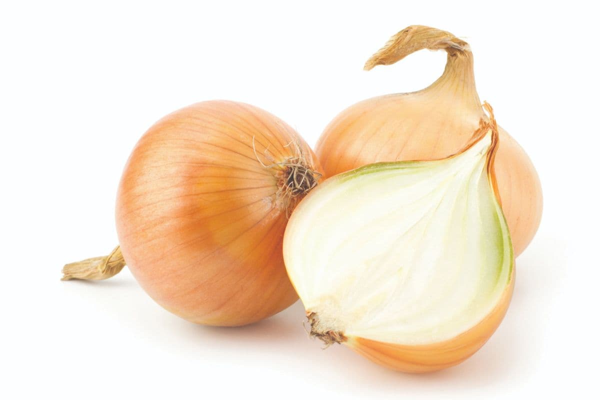 Yellow Onion CDN-US (3 lb Bag)