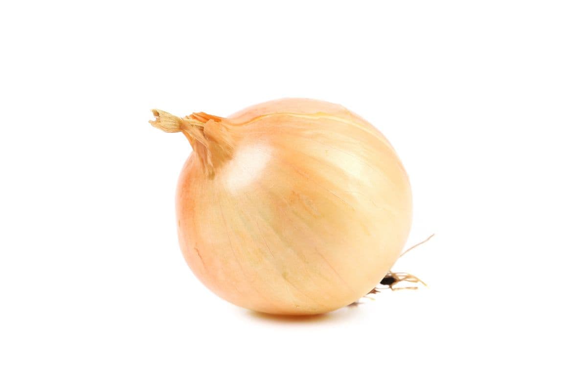White Onion (Big Size)