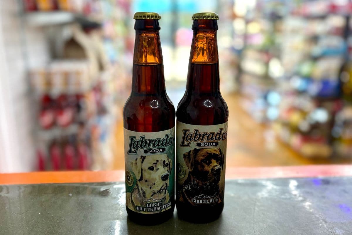 Labrador Soda