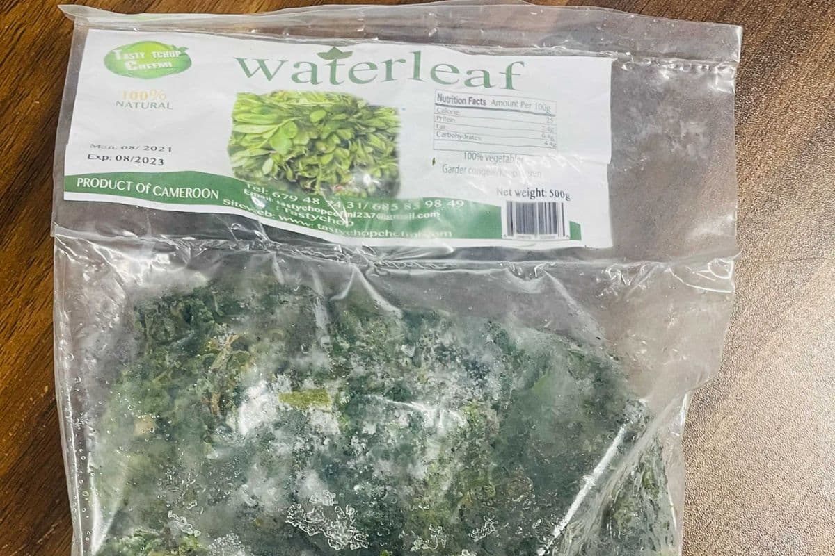 Water Leaf (Frozen)