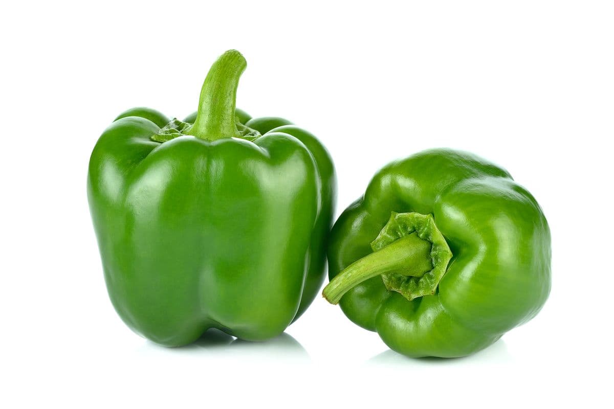 Green Pepper (Large) (2 Pack)