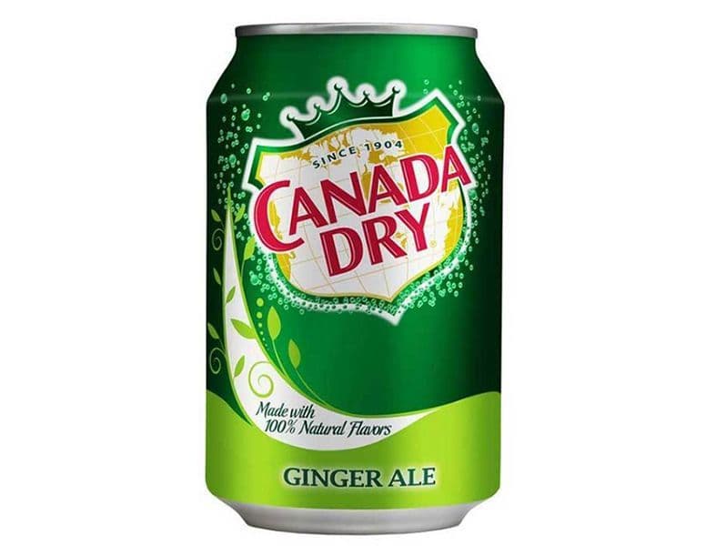 Ginger Ale Can (355 ml)