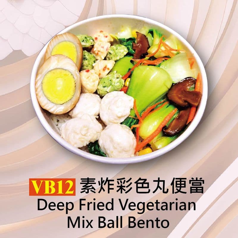Deep Fried Vegetarian Mix Ball Bento / VB12素炸彩色丸便當